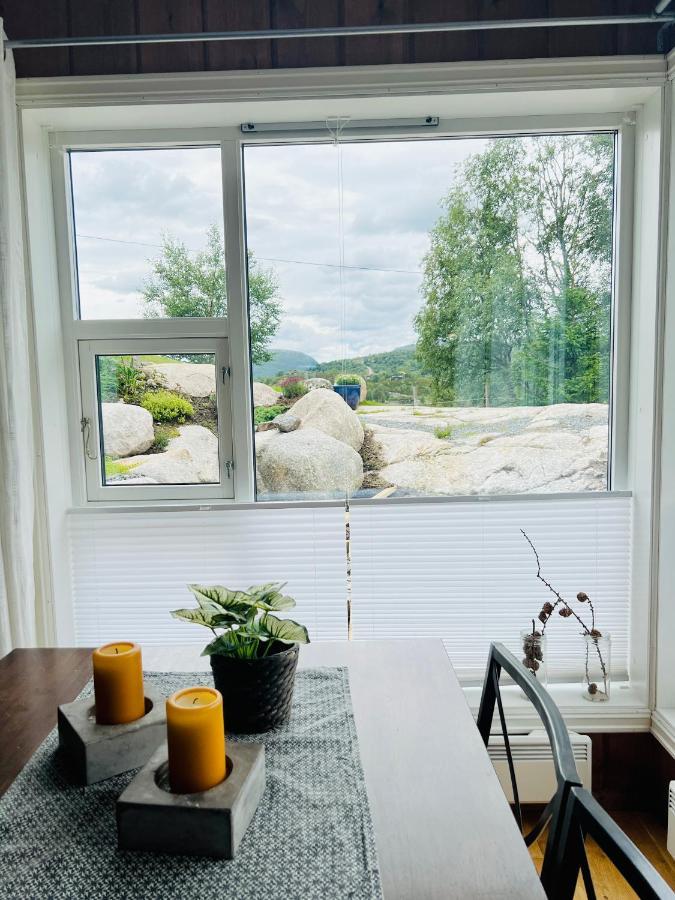Flott Leilighet Pa Haugen I Sirdal Tjorhom 外观 照片