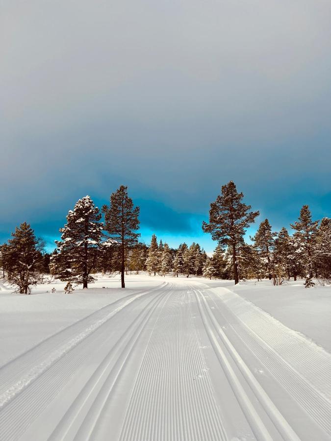 Flott Leilighet Pa Haugen I Sirdal Tjorhom 外观 照片
