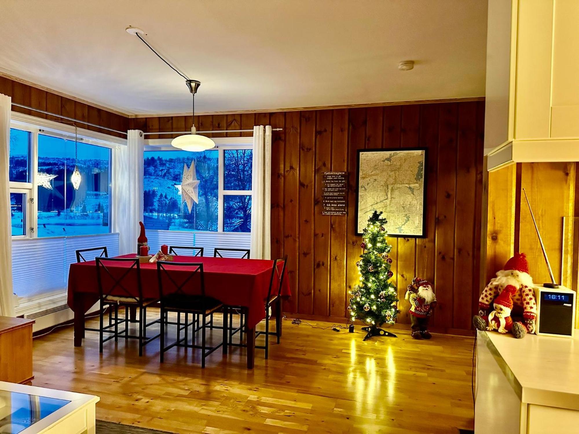 Flott Leilighet Pa Haugen I Sirdal Tjorhom 外观 照片